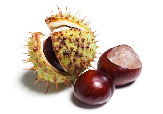 HondroFrost contains chestnuts